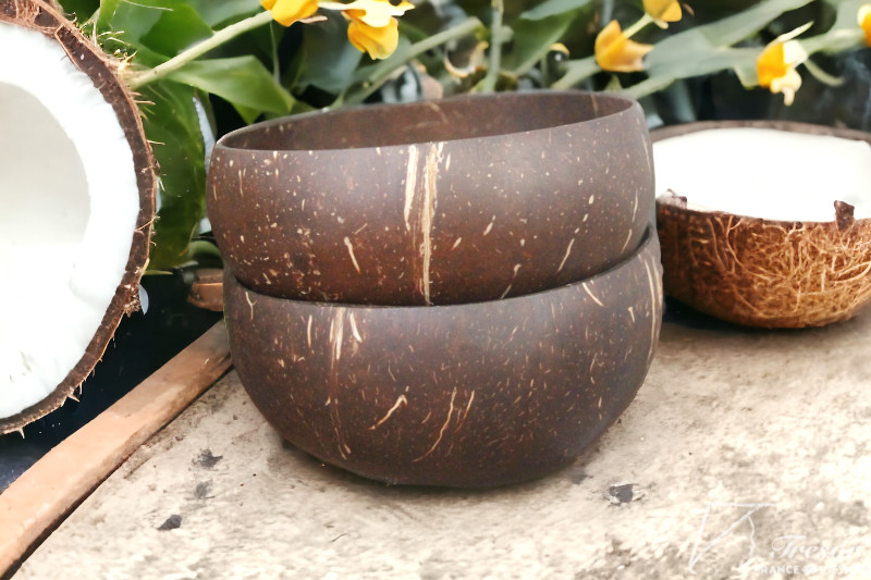 Bols en noix de coco artisanaux – Image 2